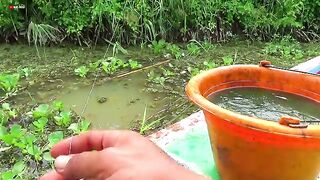 Sensasi Memancing di sarang Ikan Nila Babon