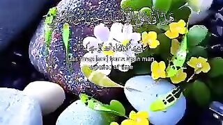 Short  video