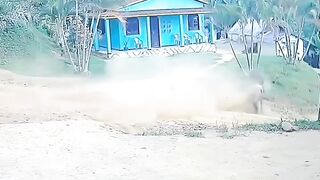 Funny videos