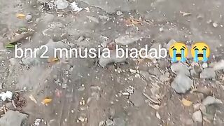 pecinta kucing