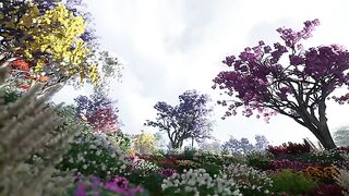Animation Vidio For Background Video Part 2