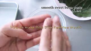 How to make Stretchy Squishy Kashiwa Mochi