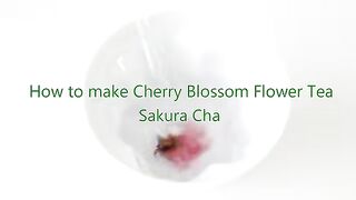 How to make Japanese Spring Cherry Blossom Flowers Tea Sakura Cha