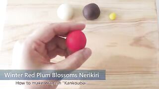How to make Wagashi Nerikiri Winter Red Plum Blossoms