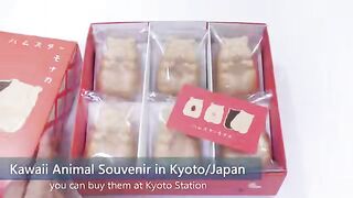 Interesting and Kawaii Japan Souvenir at Kyoto Shinkansen Station