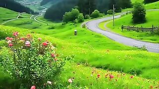 status,status video,status song,status whatsap,beast song,good song,video,natural