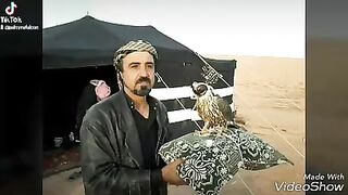 مقناص مدينة تدمر  2
