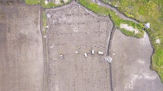 cinematic drone video of farmers' rice fields