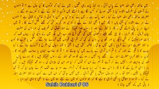 Sahih Bukhari # 86