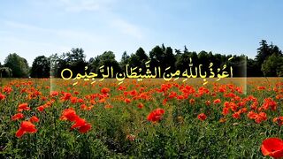 Surah al kafiroon quran beautiful recitation