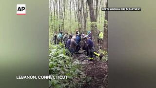 Rescuers free 2 horses stuck in mud in Connecticut.