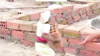 Monyet yang pintar