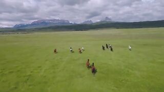 Top 5 Montana Vacation Ranches