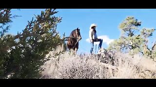 Wild Horses and Wildflowers (horse music video)