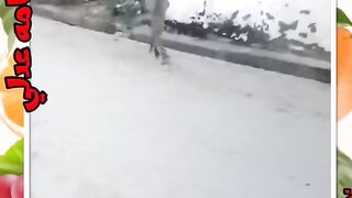 مقاطع مضحكه