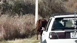 A moment of bad luck