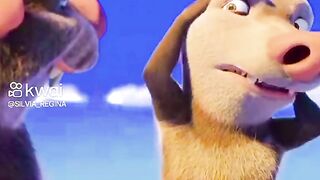 Funny videos