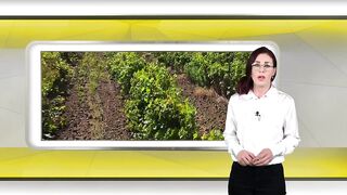 СВЕТОВНОТО ПРОИЗВОДСТВО НА ВИНО Е НА НАЙ-НИСКО НИВО ОТ 60 ГОДИНИ НАСАМ
