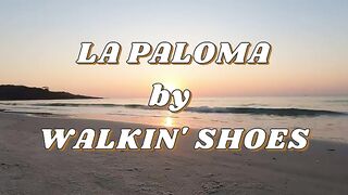 ×LA PALOMA de WALKIN' SHOES - Instrumental