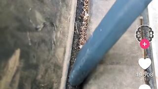 Pulizia auto