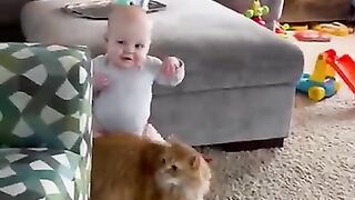 Adorable Fluffy Cat Helps Baby Take First Steps!!.