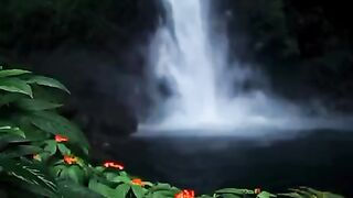status,status video,status song,status whatsap,beast song,good song,video,natural