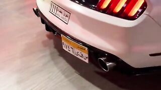 Mustang