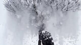 Snow Fall ????