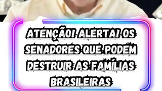 ATENÇÃO! ALERTA! #bolsonaro #foraluladrao #viralshort #forastf #patriotas #viral #foralula #stf