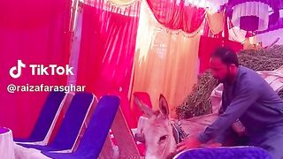 Nice video