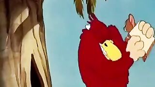 Cartoons
