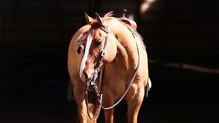 Rouge - Cowgirl Cadillacs 2024