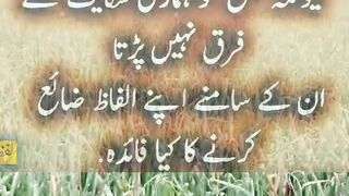 #quotes#aqwal #isalamic taxes