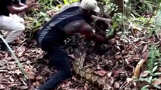 The Tarzan of Today