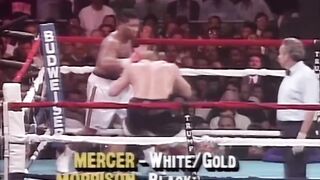 Most brutal knockout in boxing history Ray Mercer vs Tommy Morrison Page is for sale