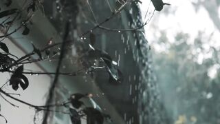 Chuva tempo frio
