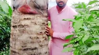 New funny video #CapCut #trendingvideo #followme #everyone