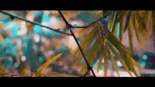 A Nature Film - by Prantik Das _ Cinematic Video