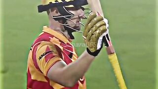 Cricket lover's
