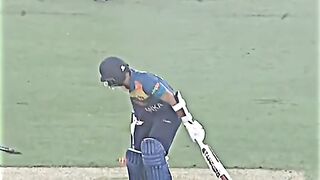 Cricket lover's