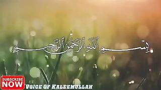 Heart Touching Quotes In Urdu _ Best Urdu Quotes _ Voice Of Kaleemullah_plz subscribe and watch my channel