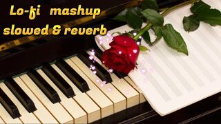 Lo-fi mashup song????????[ Slowed & reverb]❤????
