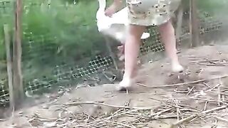 Entertainment