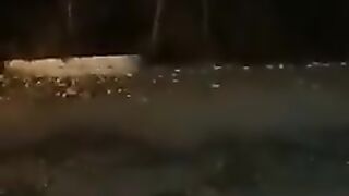Tiger attack