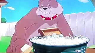 Tom & jerry