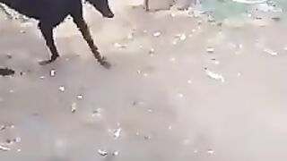 TikTok Vedio 196