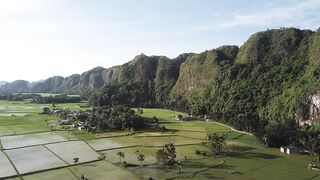 Green Rice Fields with Mountain Background