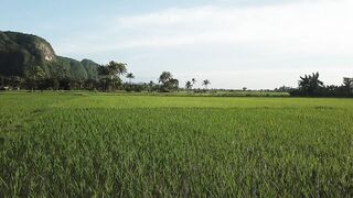 Free Beautiful Scenery Video Background