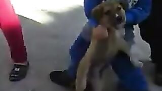 TikTok Vedio 264