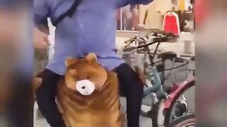 TikTok Vedio 266